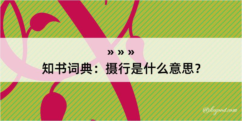 知书词典：摄行是什么意思？