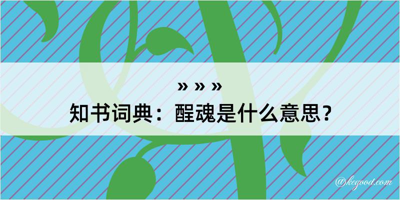 知书词典：酲魂是什么意思？