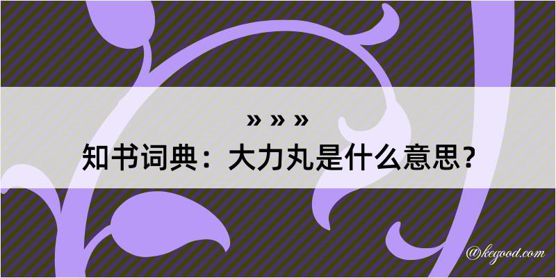 知书词典：大力丸是什么意思？