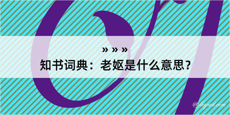 知书词典：老妪是什么意思？