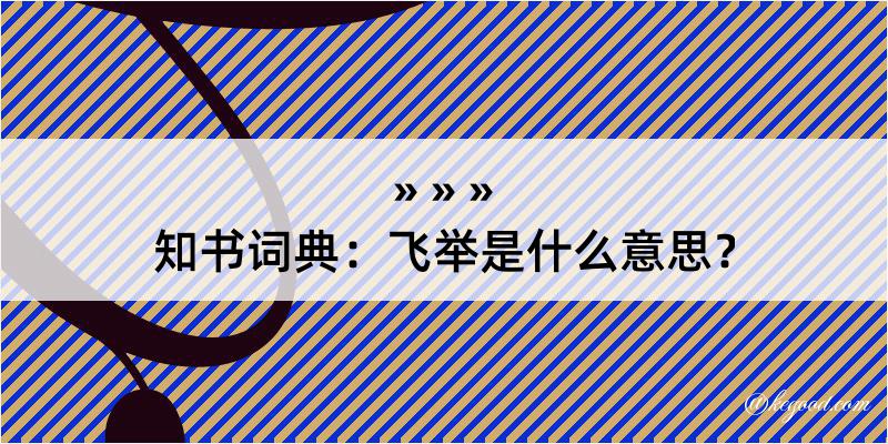 知书词典：飞举是什么意思？