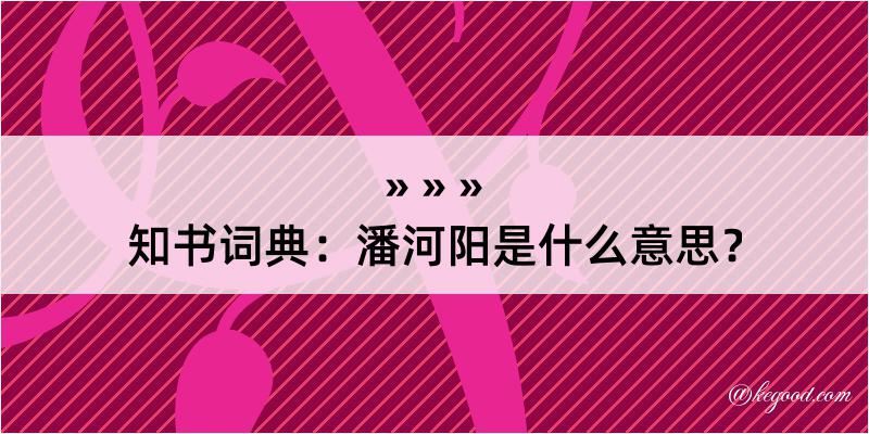 知书词典：潘河阳是什么意思？