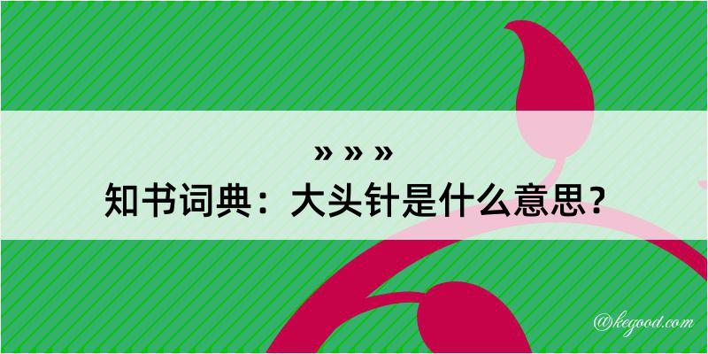 知书词典：大头针是什么意思？