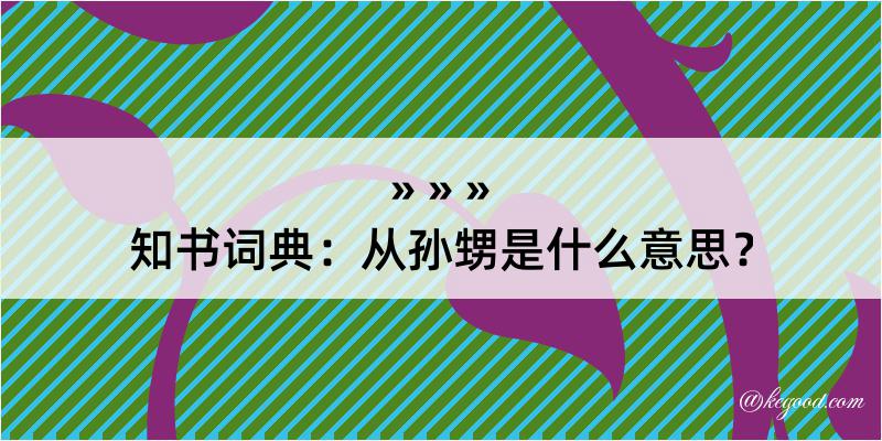 知书词典：从孙甥是什么意思？