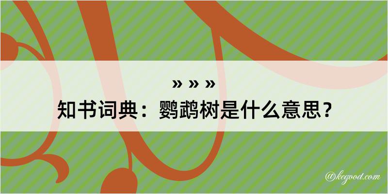 知书词典：鹦鹉树是什么意思？