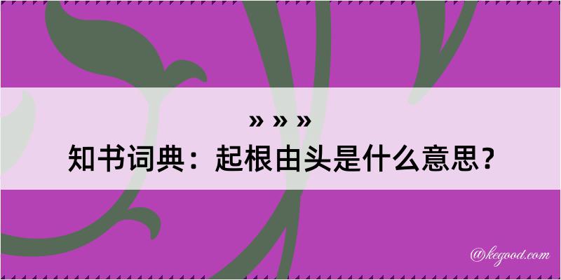 知书词典：起根由头是什么意思？