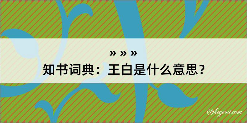 知书词典：王白是什么意思？