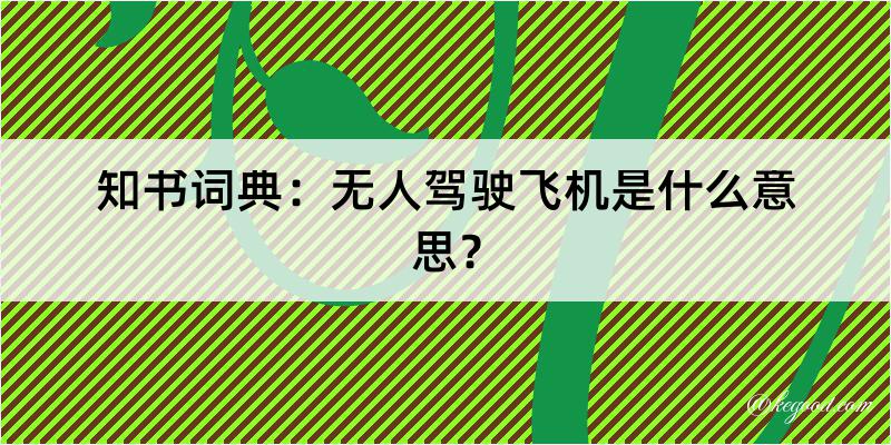 知书词典：无人驾驶飞机是什么意思？