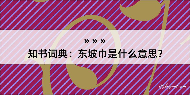 知书词典：东坡巾是什么意思？