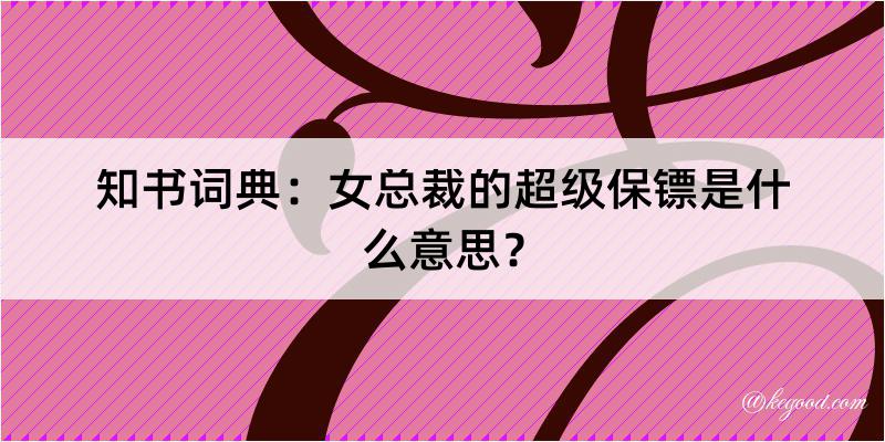 知书词典：女总裁的超级保镖是什么意思？