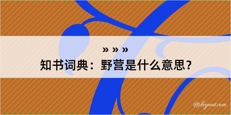 知书词典：野营是什么意思？