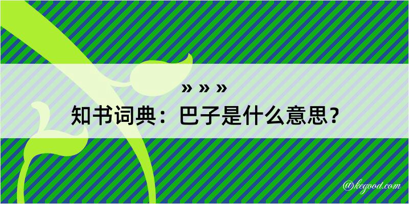 知书词典：巴子是什么意思？