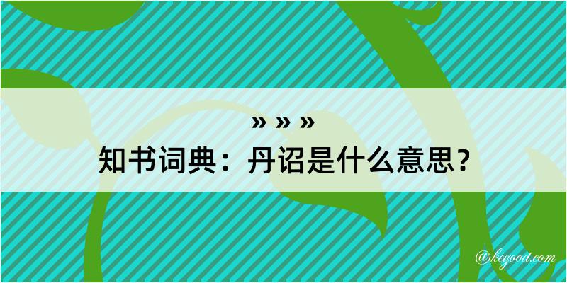 知书词典：丹诏是什么意思？