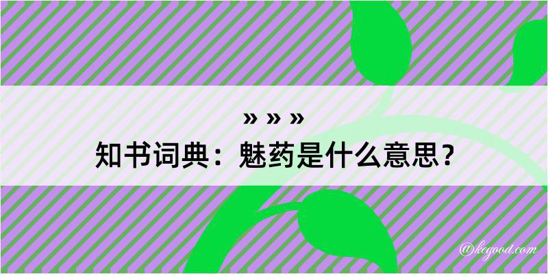 知书词典：魅药是什么意思？