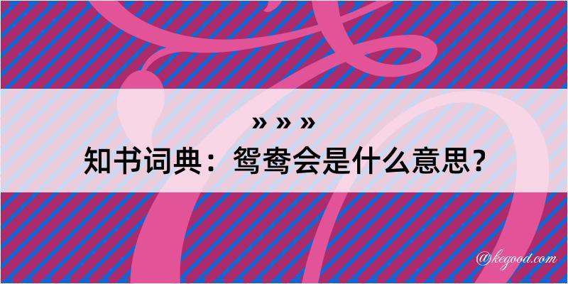 知书词典：鸳鸯会是什么意思？