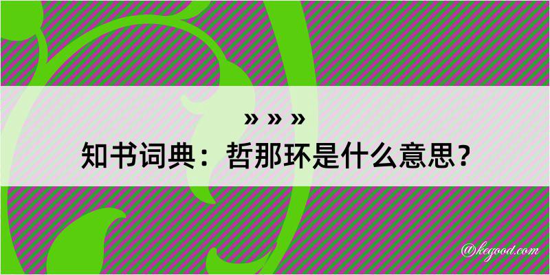 知书词典：哲那环是什么意思？