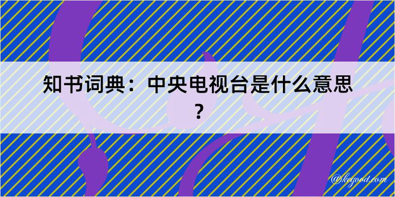 知书词典：中央电视台是什么意思？