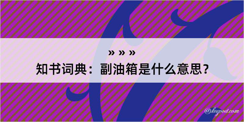 知书词典：副油箱是什么意思？