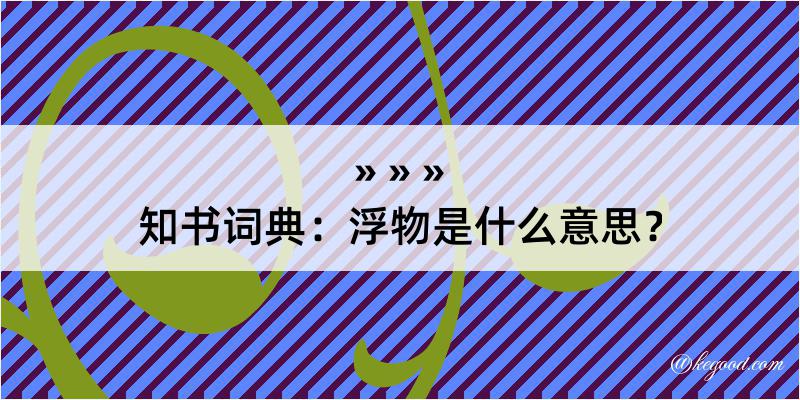 知书词典：浮物是什么意思？