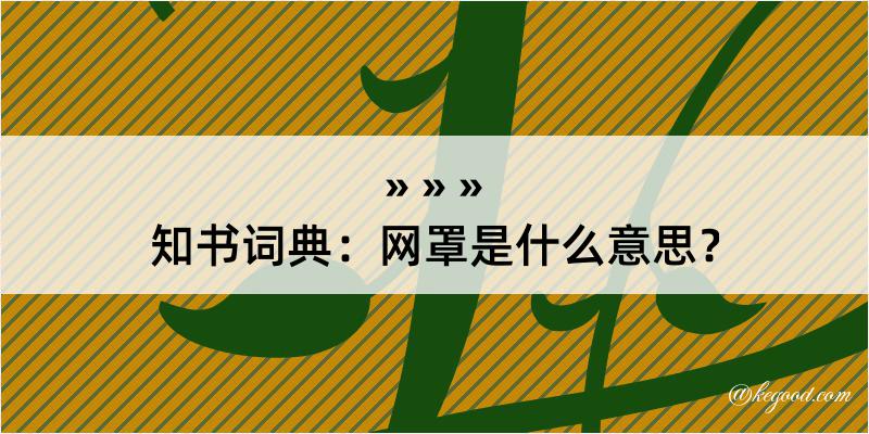 知书词典：网罩是什么意思？