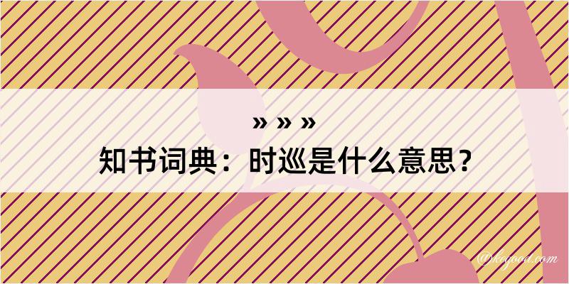 知书词典：时巡是什么意思？