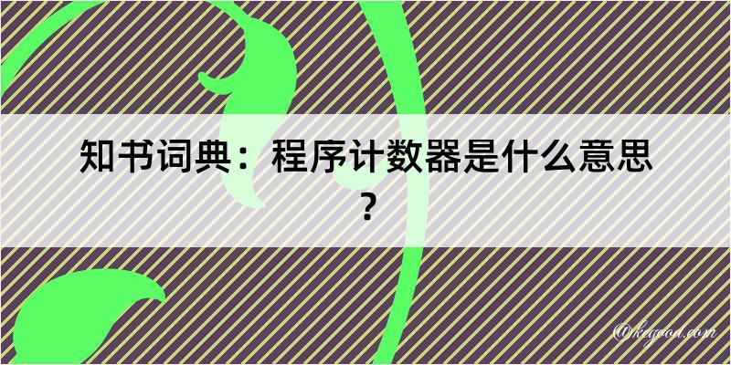 知书词典：程序计数器是什么意思？