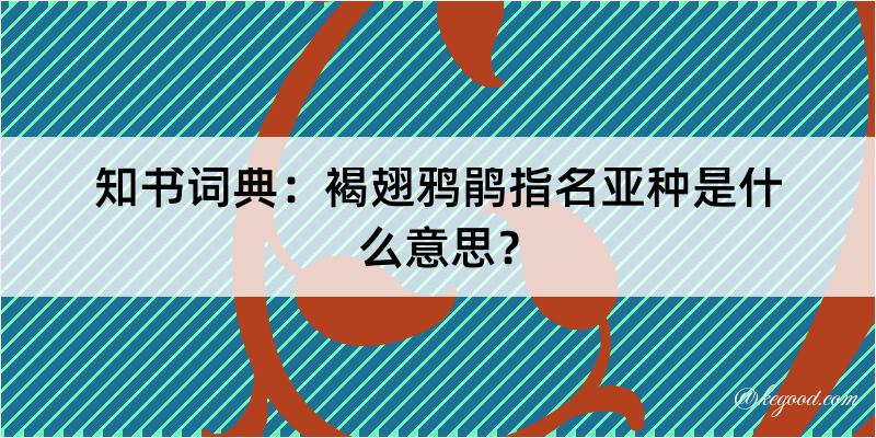 知书词典：褐翅鸦鹃指名亚种是什么意思？