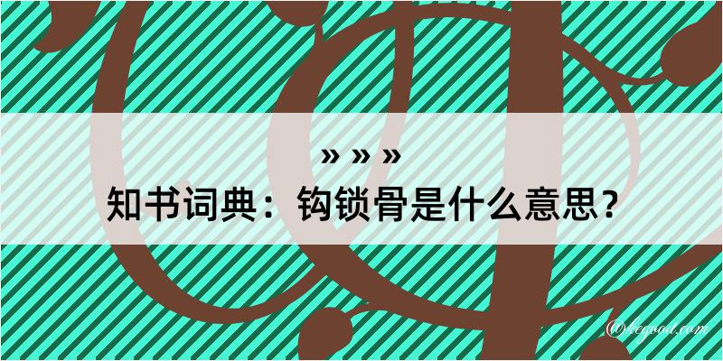 知书词典：钩锁骨是什么意思？