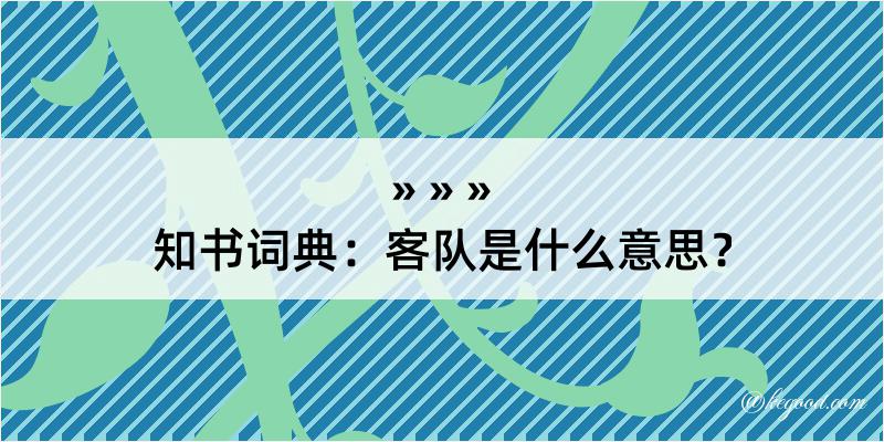 知书词典：客队是什么意思？