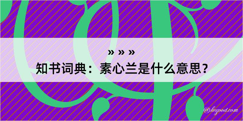 知书词典：素心兰是什么意思？