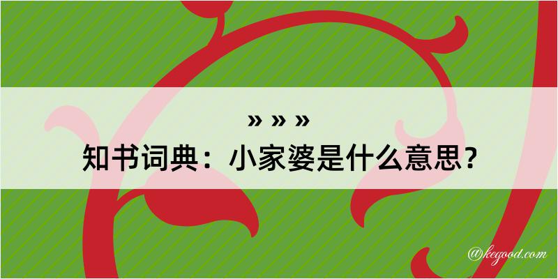 知书词典：小家婆是什么意思？