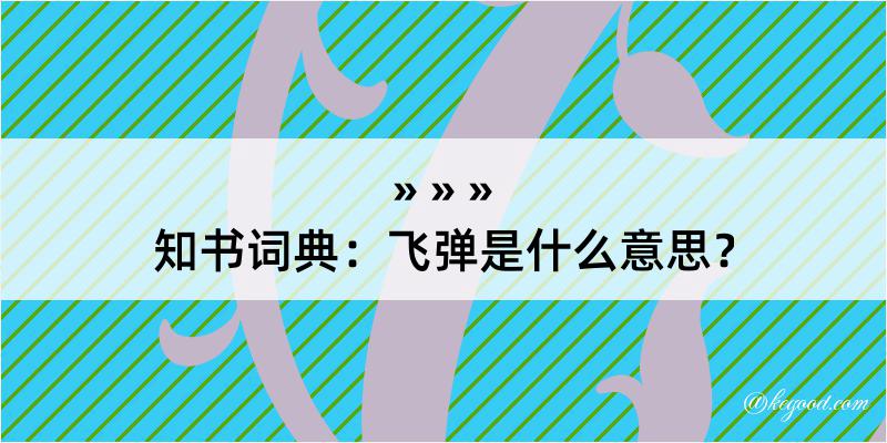 知书词典：飞弹是什么意思？