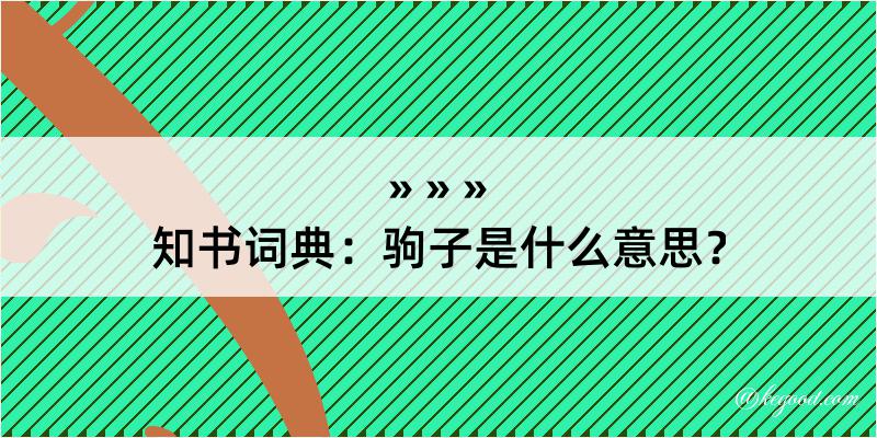 知书词典：驹子是什么意思？