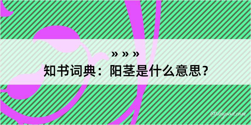 知书词典：阳茎是什么意思？