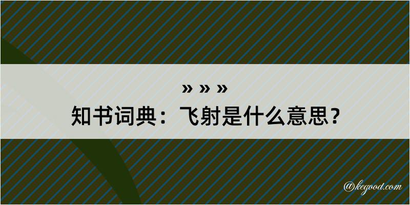 知书词典：飞射是什么意思？