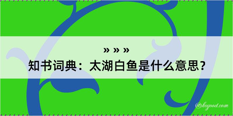 知书词典：太湖白鱼是什么意思？