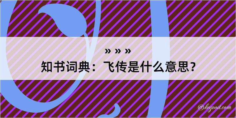 知书词典：飞传是什么意思？