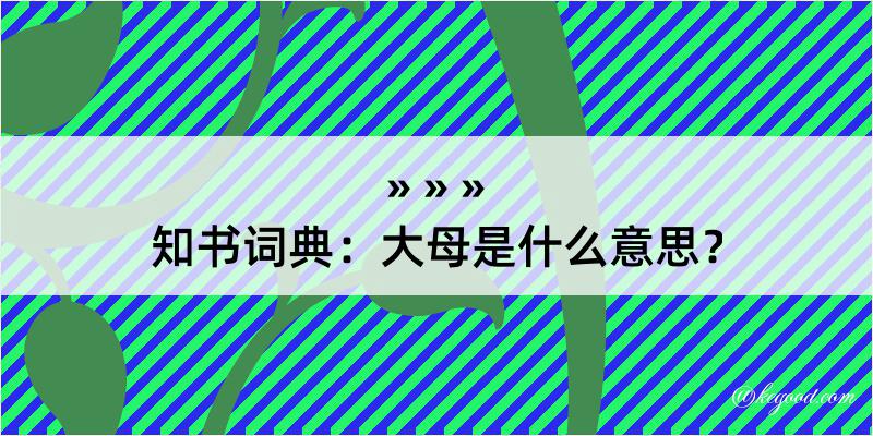 知书词典：大母是什么意思？