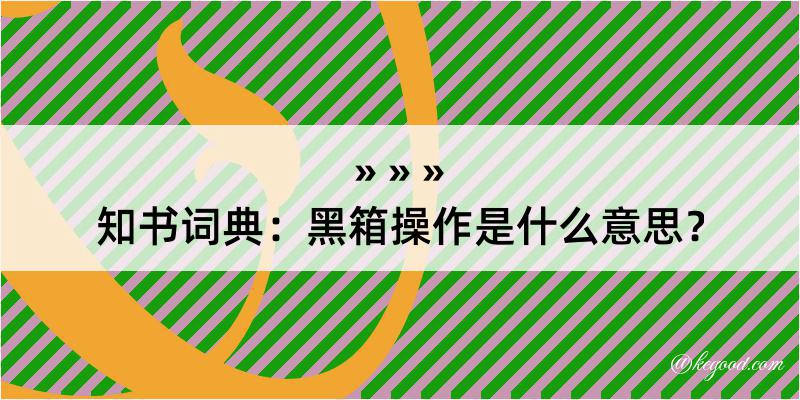 知书词典：黑箱操作是什么意思？