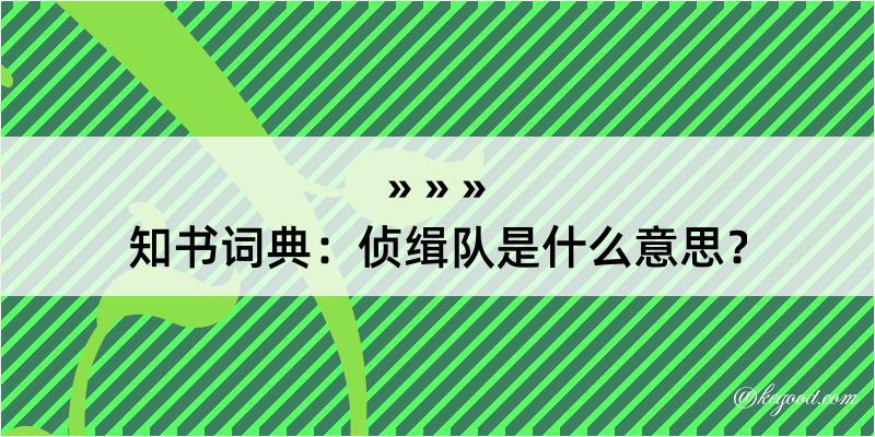 知书词典：侦缉队是什么意思？