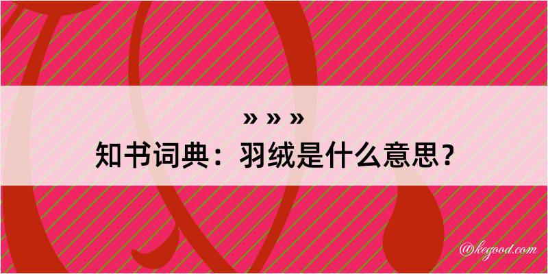 知书词典：羽绒是什么意思？