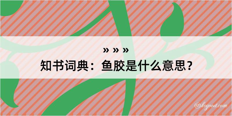 知书词典：鱼胶是什么意思？