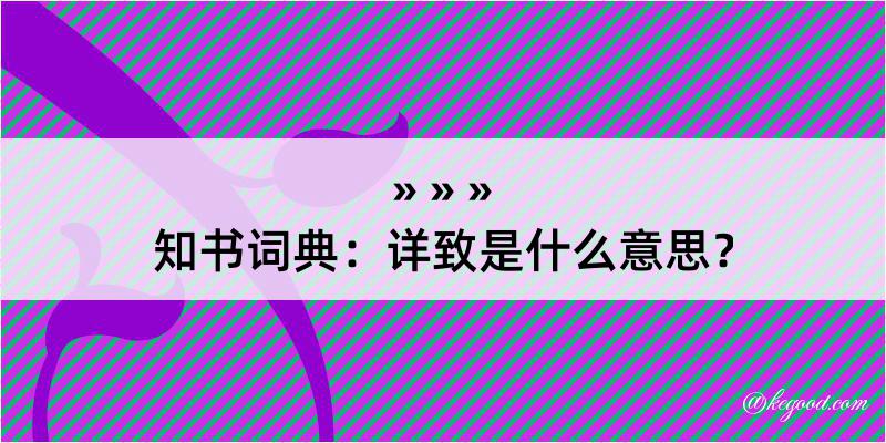 知书词典：详致是什么意思？