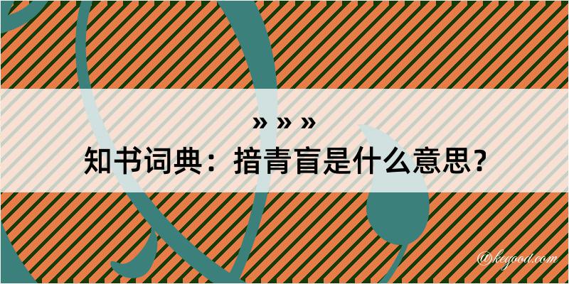 知书词典：揞青盲是什么意思？