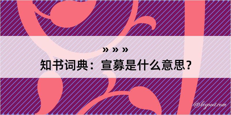 知书词典：宣募是什么意思？