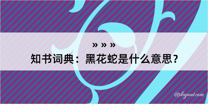 知书词典：黑花蛇是什么意思？