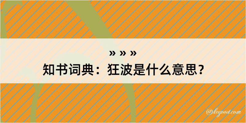 知书词典：狂波是什么意思？