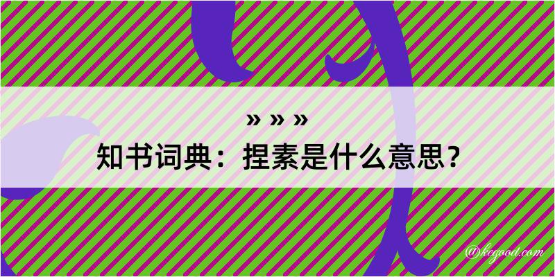 知书词典：捏素是什么意思？