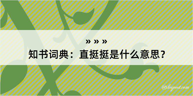 知书词典：直挺挺是什么意思？