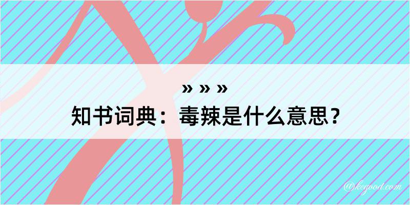 知书词典：毒辣是什么意思？